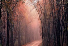 足总杯四分之一决赛:你需要知道的一切.