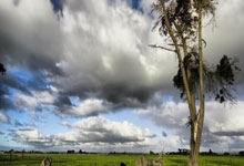 他正式宣布:暂时告别!网友不舍齐鲁晚报.