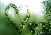 欧博官网：[德甲]穆西亚拉连过数人 一脚搓射洞穿球门.